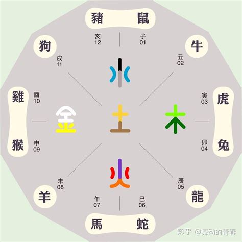 生肖適合的顏色|五行命理！12生肖的幸運數字和顏色